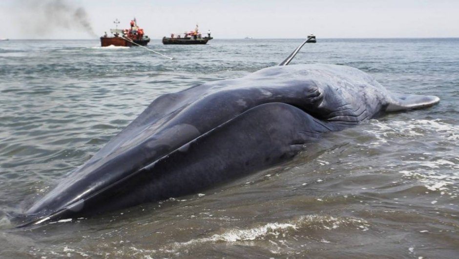 Imagen de contexto. (Foto: Aton).