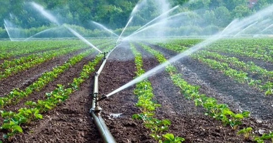 El cambio climático ha provocado sin duda una gran sequía en el Maule. (Foto: Contexto)